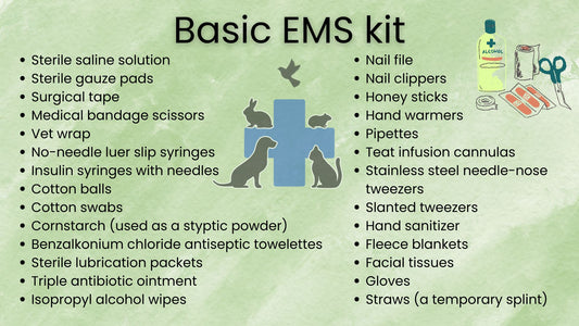 Exotic Medical Supply Kit